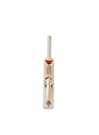 Willow Ruby Bat - pzsku/Z22082FA08814D751B6C5Z/45/_/1719931897/1541ba54-1ad9-49c4-a53c-faa9aa71714c