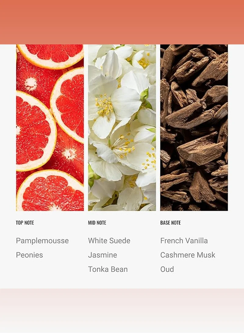 Hotel Collection Riviera Fragrance Oil Blend - Hotel Inspired for Luxury Essential Oil Diffusers - Aromatherapy Scent Diffuser Oil - Pampleemousse, Jasmine, and Cashmere Oud