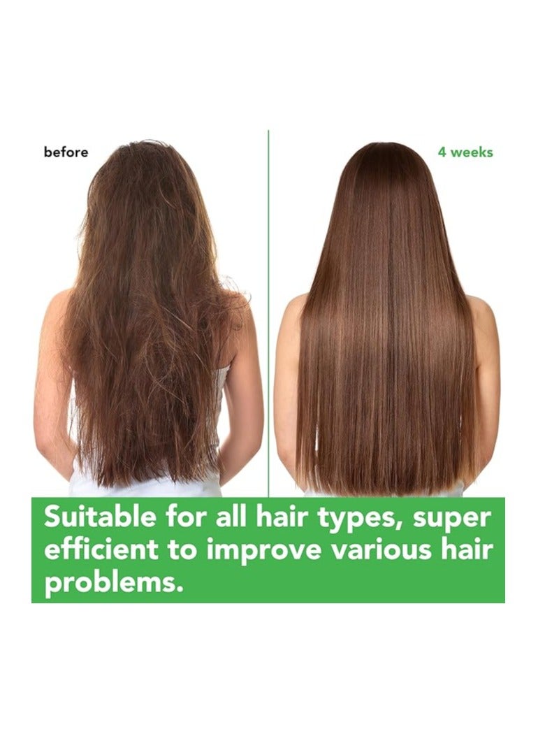 أليفر شامبو وبلسم اكليل الجبل لنمو الشعر، شامبو وبلسم لنمو الشعر الخفيف وتقوية فروة الراس وتعزيز صحة الشعر وإعادة نموه، شامبو وبلسم روتيني لمكافحة تساقط الشعر - Image 3