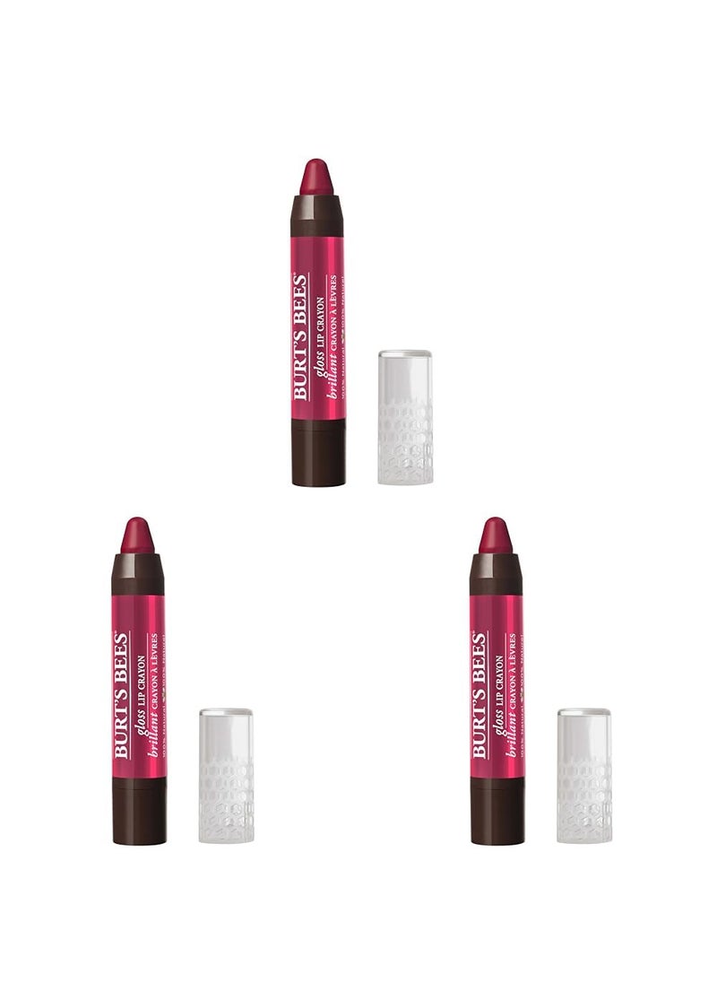 Burt's Bees - Burts Bees 100 Natural Moisturizing Gloss Lip Crayon Pacific Coast  1 Crayon Pack of 3 - Image 1