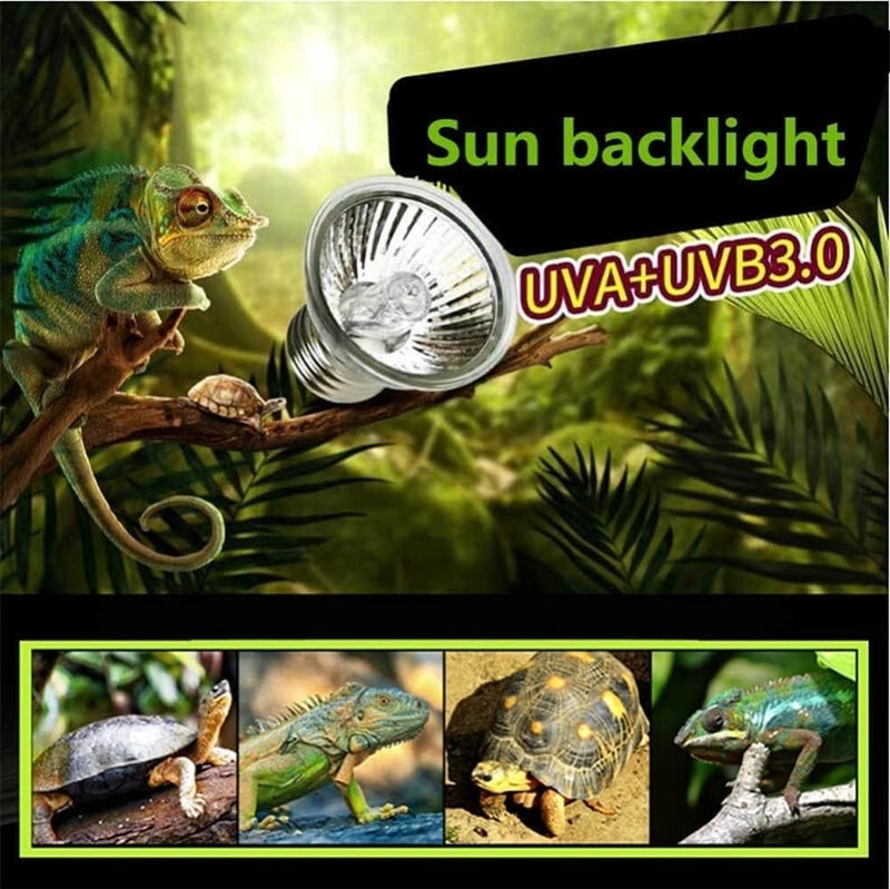 ELECDON 3Pack 25W UVA+UVB Bulbs, Heat and Light for Reptiles and Amphibian Tanks, Terrariums and Cages, Heat Lamp Basking Lamp Heater Light Replacement Bulbs, Works with Various Lamp Fixtures - Image 3