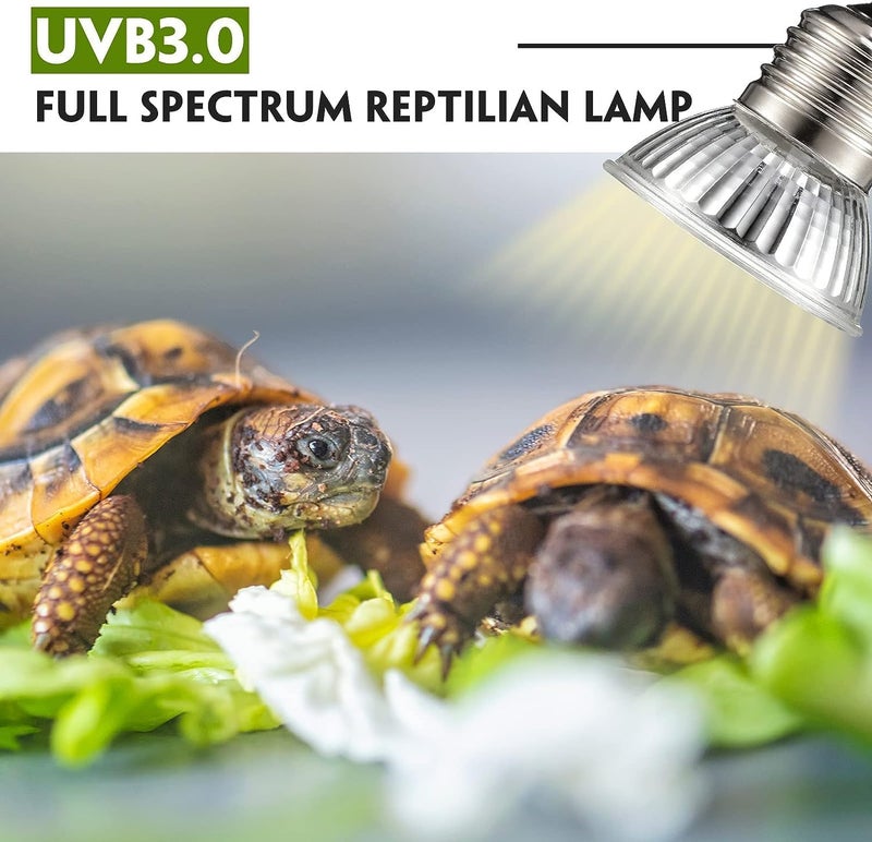 ELECDON 3Pack 25W UVA+UVB Bulbs, Heat and Light for Reptiles and Amphibian Tanks, Terrariums and Cages, Heat Lamp Basking Lamp Heater Light Replacement Bulbs, Works with Various Lamp Fixtures - Image 5