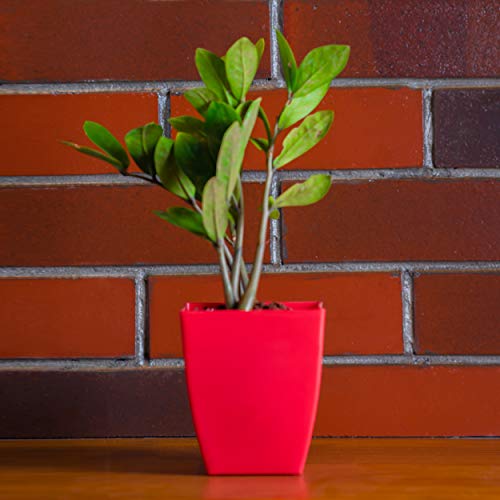 garbnoire Gardening Flower Pots - 5.5 Inch Plastic Flower Pots | Modern Decorative Indoor Outdoor Pots - (RED, 5) - Image 1