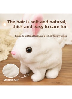 Generic Children's Electric Simulation Plush Toy Pet Cabin Teddy White Rabbit Can Walk And Call Portable Gift Box Institution Gift-Color:Meng Chong Space Capsule 063 (Golden Hair) 7-piece Battery Self-provided  - Image 3