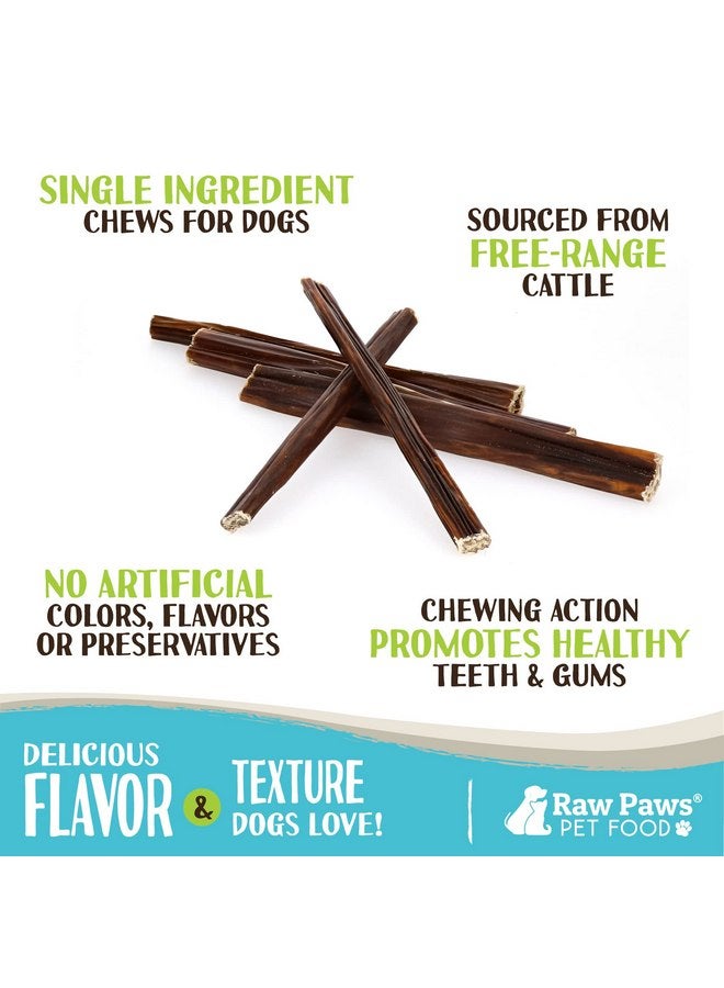 Raw Paws Beef Gullet Sticks for Dogs, 6-inch, 10-ct - Free-Range Cows Raised Without Antibiotics or Added Hormones - Gullet Sticks for Small Dogs to Large Dogs - Beef Esophagus Dog Treats - Image 2