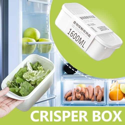 Turbid 4-1600ml Refrigerator Food Storage Containers, PP5 Polypropylene Box, Stackable Commercial Quality Lunchbox with Covers, Durable, Reusable BPA-Free, Microwave, Freezer, Dishwasher Safe. - Image 3