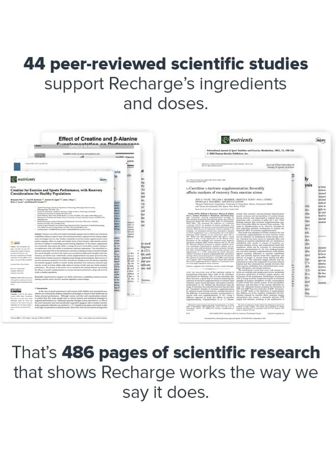 LEGION Recharge Post Workout Supplement - Image 3