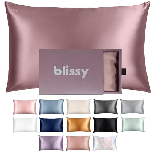 Blissy Silk Pillowcase  100 Pure Mulberry Silk  22 Momme 6A HighGrade Fibers  Silk Pillow Cover for Hair  Skin  Regular Queen  King with Hidden Zipper Queen Plum
