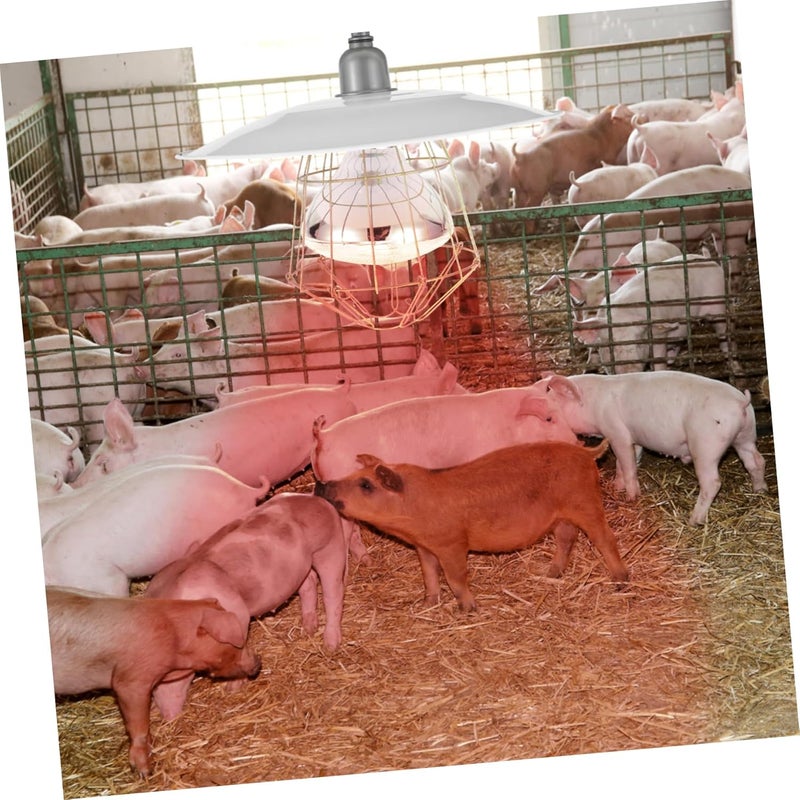 POPETPOP Livestock Heat Lamp Basking Lamp Heat Mat for Chickens Chicken Coop Heater - Image 5