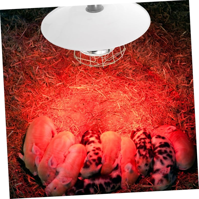 POPETPOP Livestock Heat Lamp Basking Lamp Heat Mat for Chickens Chicken Coop Heater - Image 3
