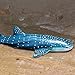 EOIVSH Rubber Whale Shark Toy 114 inch Ocean Animal Whale Shark Figure Soft Sea Creature Figurine for Kids Great for Cake Topper Birthday Gift - Image 4
