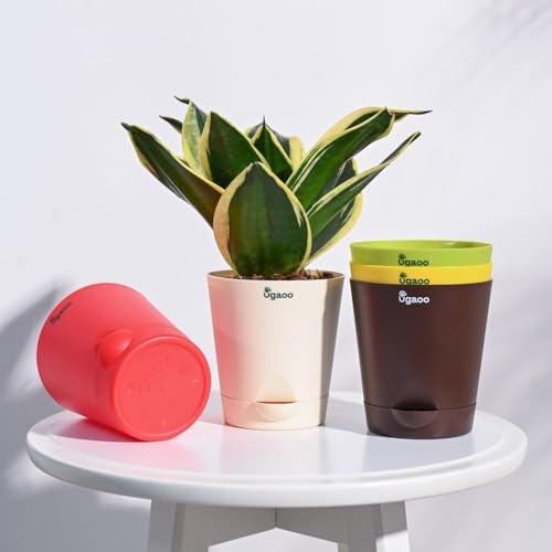 Ugaoo Self Watering Pots Planter for Plants - 4 Inch, Round, Set of 5 - Image 2