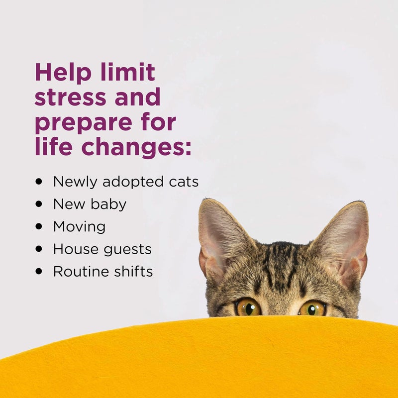COMFORT ZONE 6 Pack Cat Calming Diffuser Refills; 30-day Refills; Pheromones Help Cat Anxiety - Image 3