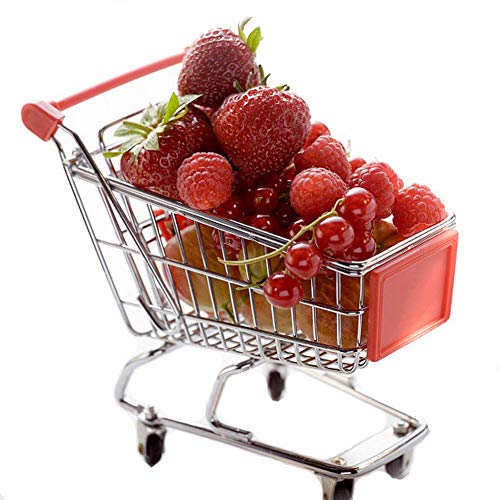 Shindel Mini Shopping Cart for Kids Grocery Store Pretend Play for Toddler Supermarket Handcart Trolley Dollhouse Toys for Kids - Image 1