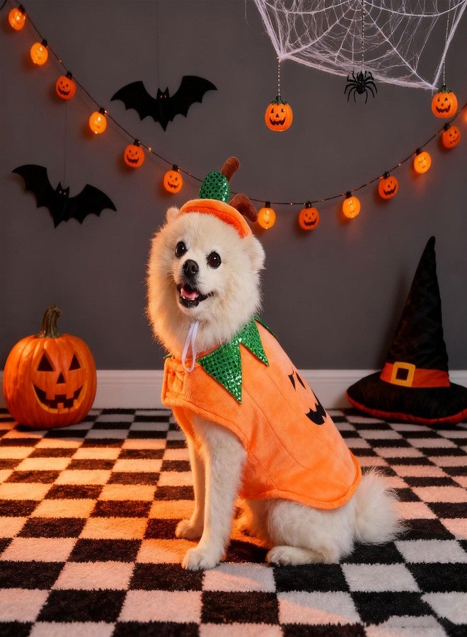 Mogoko Dog Pumpkin Costumes, Pet Halloween Cosplay Dress, Cute Pumpkin Pet Outfits, Fleece Outfits Warm Clothes with Hat for Dogs(L Size) - Image 2