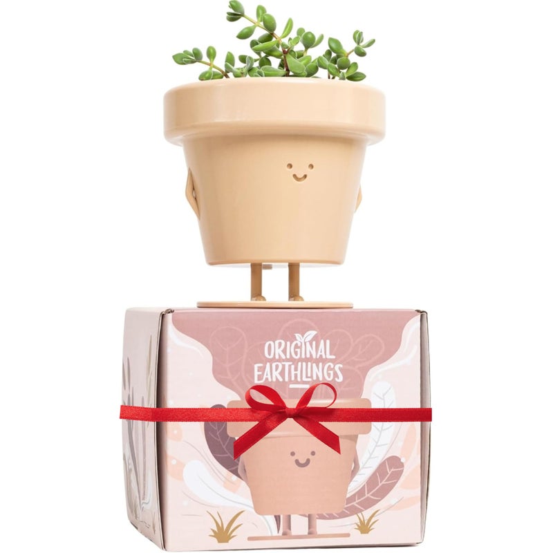 Original Earthlings Standing Pot - 4 Inch Cute Plant Pot - Plastic Funny Planter with Drainage - Unique Cactus Lover Gift - Small Succulent Face Flower Pot - Cute Plant Gifts for Plant Lovers - Image 1