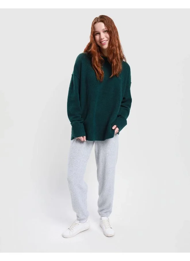 Aerie Crew Neck Sweatshirt