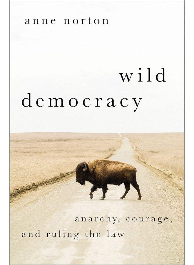 Wild Democracy: Anarchy, Courage, and Ruling the Law 
