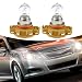 Flygun 2 PCS Car Halogen Fog Light Bulb PSX24W 32003500K Clear Light Source UVresistant Quartz Glass Steering Brake Light Lighting Replacement Modification Accessory for Most Cars White - Image 2
