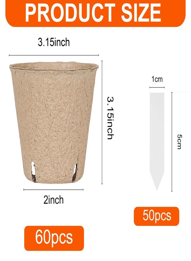 JNYONG 60 Packs 3.15 Inch Peat Pots,Biodegradable Pots for Seedlings with Drainage Holes, Garden Germination Nursery Pots with 50Pcs Plant Labels - Image 2