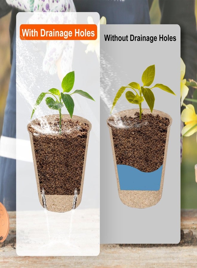 JNYONG 60 Packs 3.15 Inch Peat Pots,Biodegradable Pots for Seedlings with Drainage Holes, Garden Germination Nursery Pots with 50Pcs Plant Labels - Image 4