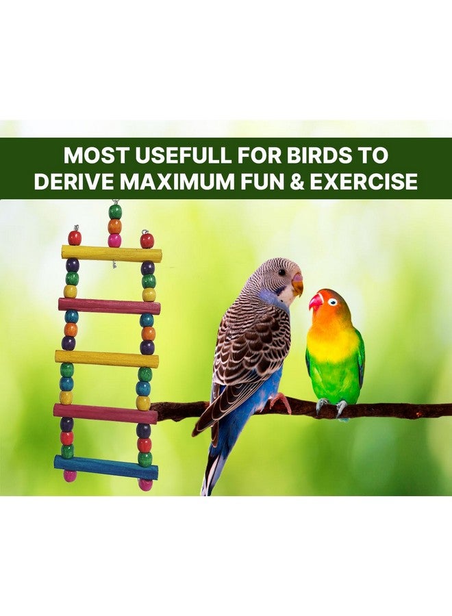 Boltze سلم الطيور وأرجوحة خشبية قابلة للمضغ معلقة، ألعاب الطيور للبادجي والكوكاتيل والعصافير وطيور كانور - مصنوعة من الخيزران - 3 قطع - Image 4