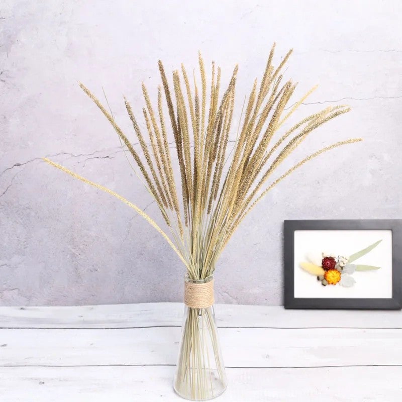 Bluejw Colorful Dried Kirin Grass Flowers Set - Real Natural Unicorn Grass Cotton Setaria Pumila from New Zealand - Premium Dried Plants Arrangement - Image 2