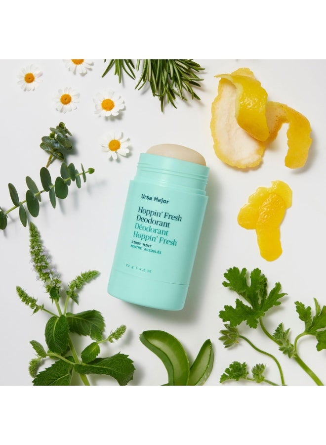 Ursa Major Hoppin' Fresh Deodorant | Natural, Aluminum-Free, Non-toxic, Cruelty-Free | Formulated for Men and Women | 2.6 ounce - Image 5