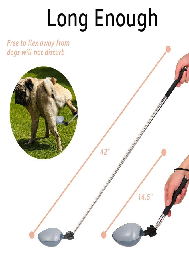 Dreamemo Dog Cat Urine Collector - Telescopic Urine Sample Catcher for UTI Test Kit,Dog Pee Stick for Veterinary Supplies.Dog Pregnancy Pee Test Kit(Basic Kit) - Image 3