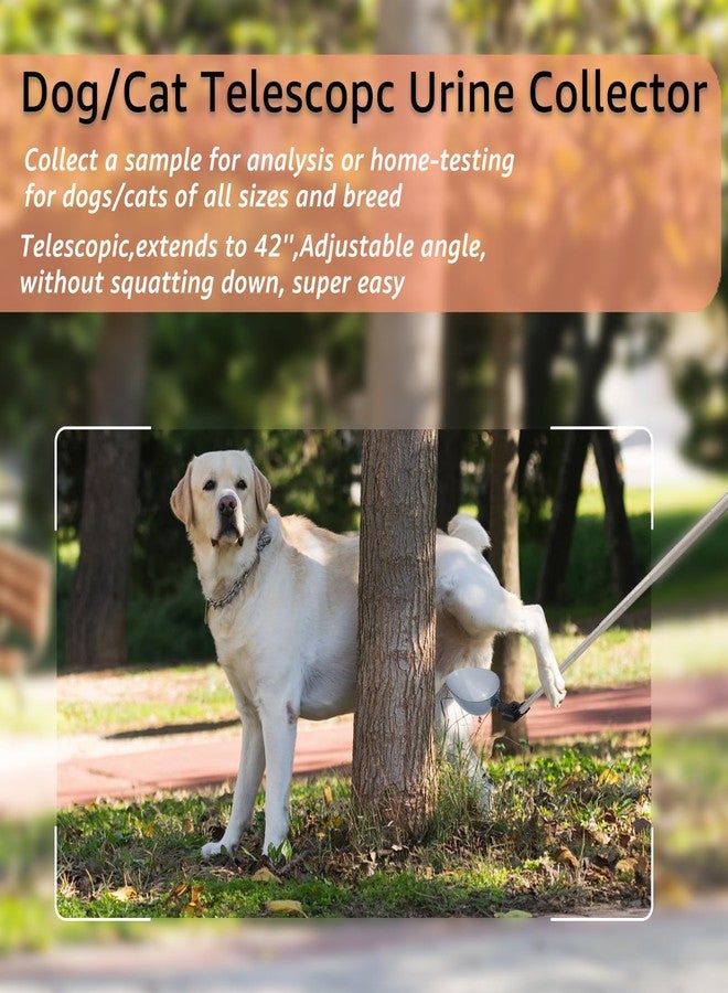 Dreamemo Dog Cat Urine Collector - Telescopic Urine Sample Catcher for UTI Test Kit,Dog Pee Stick for Veterinary Supplies.Dog Pregnancy Pee Test Kit(Basic Kit) - Image 2
