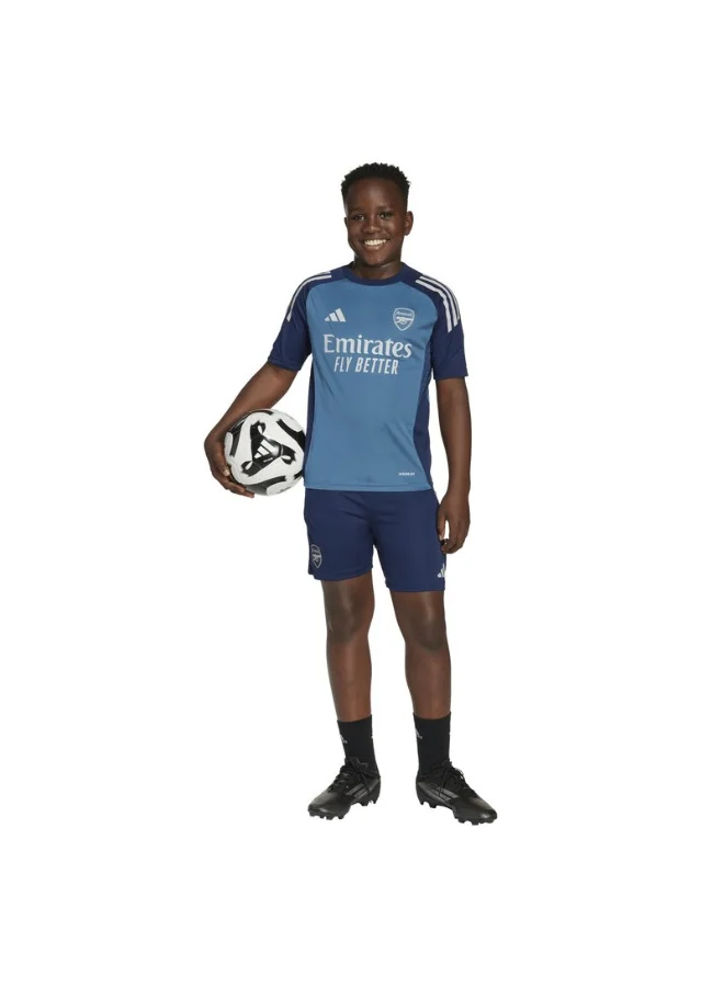 Adidas Afc Tr Jsy Y U Blue Football/Soccer Jerseys For Unisex