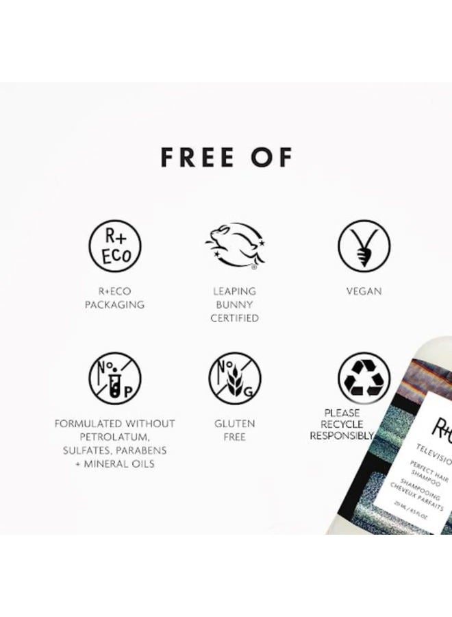 R+Co شامبو تلفزيون للشعر المثالي | للجسم + اللمعان + التنعيم لجميع أنواع الشعر | نباتي + خالي من القسوة | - Image 2