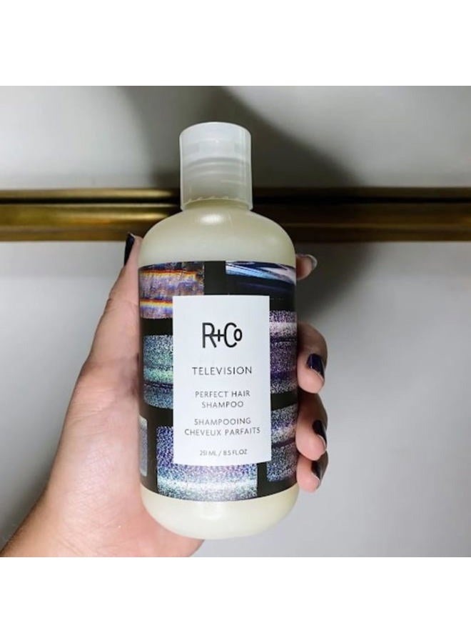 R+Co شامبو تلفزيون للشعر المثالي | للجسم + اللمعان + التنعيم لجميع أنواع الشعر | نباتي + خالي من القسوة | - Image 3