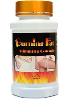 Fat burning capsules - 60 pcs - pzsku/Z221BB1912BA781BEBF29Z/45/_/1725089403/191911f3-aee7-4313-9915-0920907d6d63