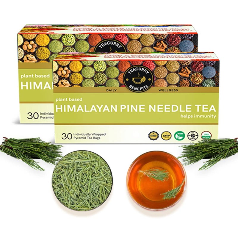 TEACURRY Himalayan Pine Needle Green Tea(2 Month Pack|60 Tea Bags)-Helps With Hair, Skin, Eyes, Varicose & Obesity|Himalayan Pine Tea,100 Grams - Image 1