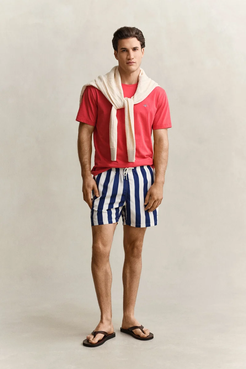 Block Striped Swim Shorts