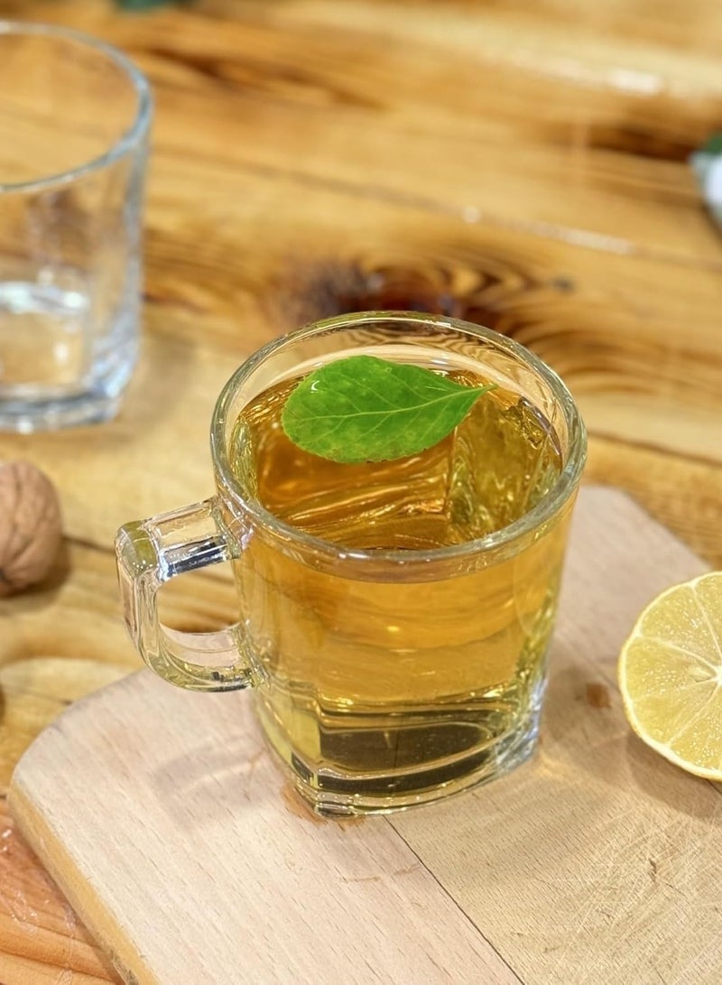 6 قطع 250 مل - أكواب قهوة زجاجية فاخرة بمقبض. أكواب شاي شفافة للمشروبات الساخنة/الباردة | مثالية للكابتشينو واللاتيه والشاي والإسبريسو وأكواب القهوة الزجاجية - Image 5