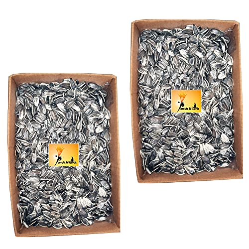 Parrots Wizard Large Sunflower Seeds for Big Parrot (1900 Grams), All Life Stages, bird - Image 1