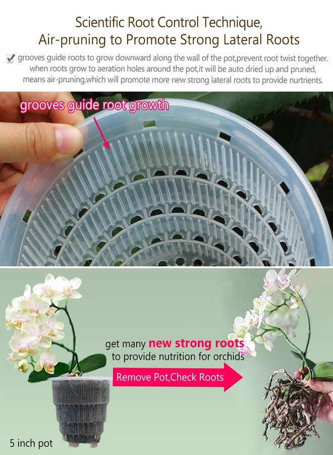Meshpot 6 inch Orchid Pots with Holes,Set of 1,Double Layer Plastic Imitate Ceramic Orchid Planter Provide Good Air Circulation,Clear Orchid Pot Match Decorative Orchid Container - Image 4