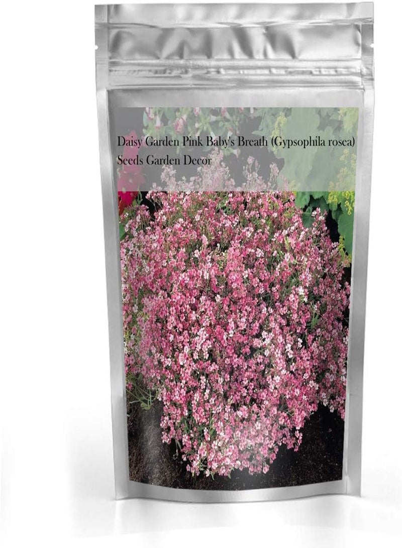 جي جوت بذور نبات جيبسوفيلا الوردي (Gypsophila rosea) لديكور الحديقة - Image 2