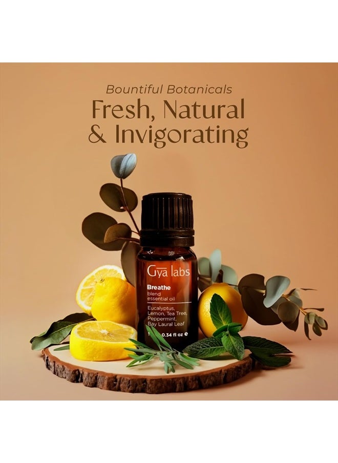gya labs Breathe Essential Oil Blends - Natural Breathe Easy Essential Oils from Eucalyptus, Peppermint Oil and More for Humidifier Cleaner (0.34 fl oz)  - Image 3