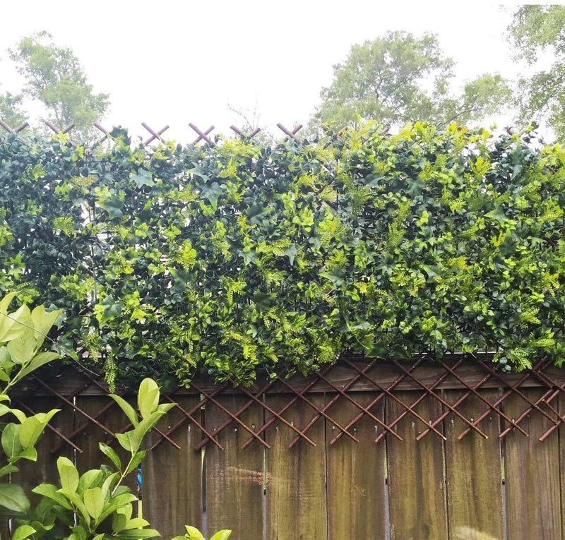 Glant Lattice Fence Expandable Plant Climbing Lattices Trellis Fence,Open Screen Fencing,Trellis Fence (2) - Image 2