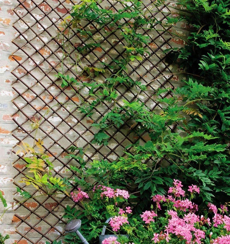 Glant Lattice Fence Expandable Plant Climbing Lattices Trellis Fence,Open Screen Fencing,Trellis Fence (2) - Image 3