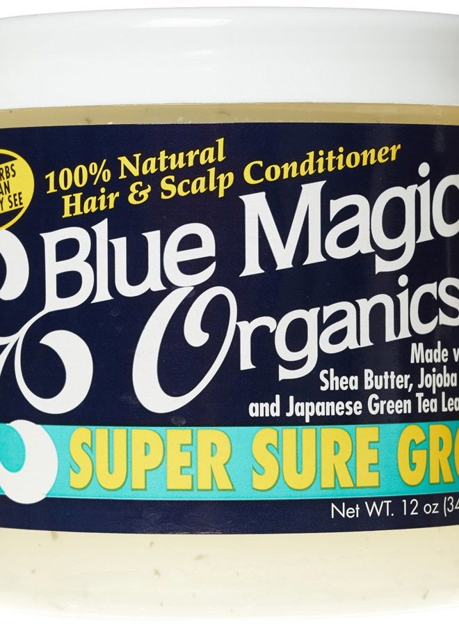 BLUE MAGIC Super Sure Hair Growth Product, 12 Ounce
