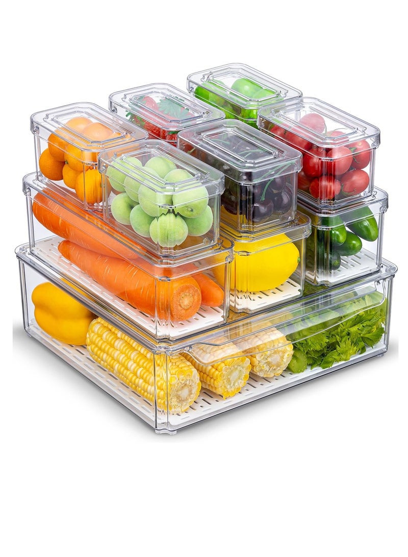 Raxoom 10 Pack Fridge Organizers and Storage, Stackable Refrigerator Organizer Bins with Lids, BPA-Free Produce Fruit Storage Containers for Fridge Organizers, for Food, Drinks, Vegetable - Image 1