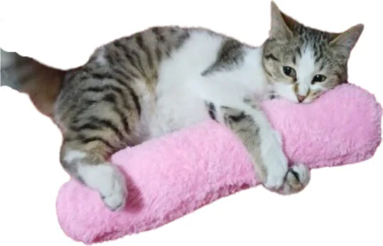 Tineke Cat Toy Hugging Pillow Sleeping Toy Cat Grass 30 cm Plush (1 Piece