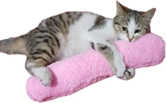Tineke Cat Toy Hugging Pillow Sleeping Toy Cat Grass 30 cm Plush (1 Piece