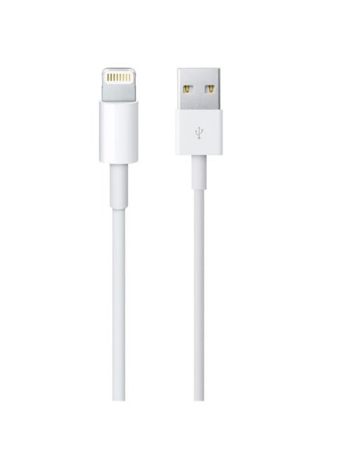 100 cm iPhone Charging Cable, High-Speed Lightning Cable for Fast Charging and Data Sync, Compatible with iPhone 13/12/11 Pro Max, XS Max, XR, XS, X, 8, 7 Plus, 6s, iPad