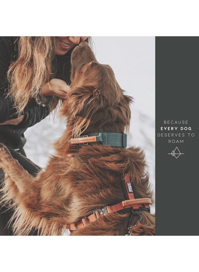 Roam Made to ROAM Premium Dog Collar - Adjustable Heavy Duty Nylon Collar with Quick-Release Metal Buckle (Texas Flair, Classic Size 3) - Image 4