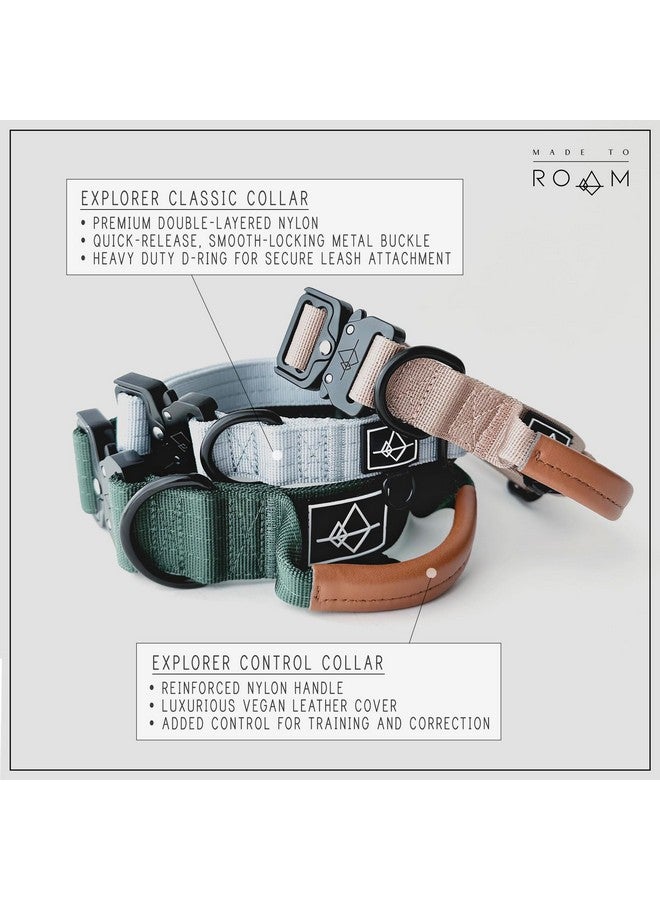Roam Made to ROAM Premium Dog Collar - Adjustable Heavy Duty Nylon Collar with Quick-Release Metal Buckle (Texas Flair, Classic Size 3) - Image 3